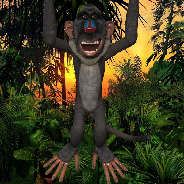 Toon Baboon — Stock Photo, Image