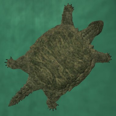 Proganochelys quenstedti
