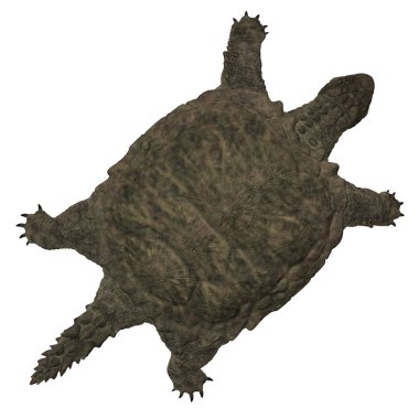 Proganochelys quenstedti