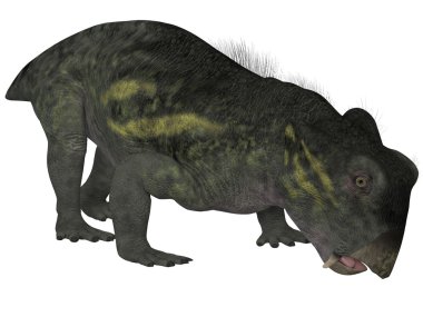 lystrosaurus - 3d dinazor