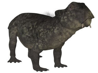 lystrosaurus - 3d dinazor