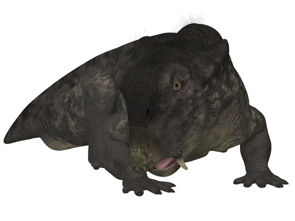 Lystrosaurus- Dinosaurio 3D —  Fotos de Stock