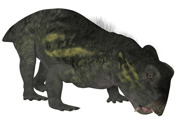 Lystrosaurus- 3D Dinosaur — Stock Photo, Image