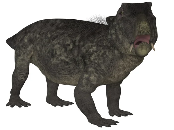 Lystrosaurus- Dinosaurio 3D —  Fotos de Stock