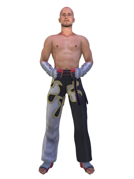 Illustration Man Taekwondo Poses — Stock Photo, Image