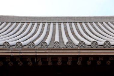 Çin Tapınağı çatı