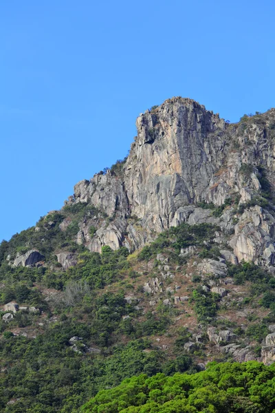 Kaya aslan, aslan dağ hong Kong, sembolü seviyorum. — Stok fotoğraf