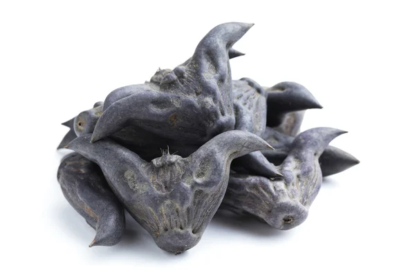 Horn Shaped Water Caltrop — Stock Photo, Image