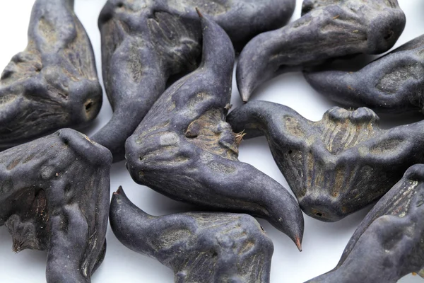 Caltrop de agua — Foto de Stock