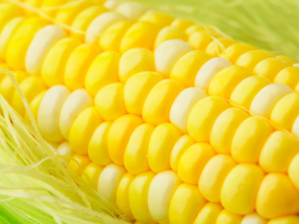 Corn cob — Stock Photo, Image