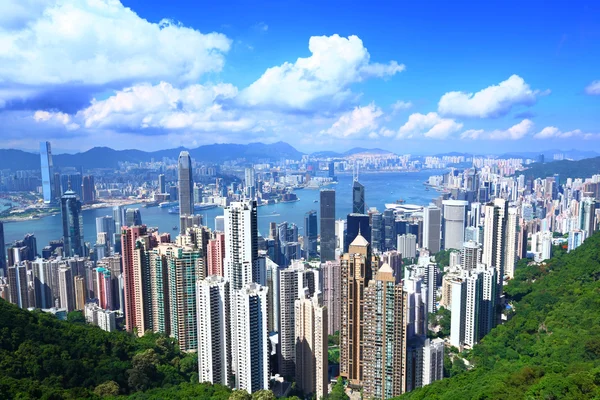 Hong Kong from peak — Stock Photo, Image