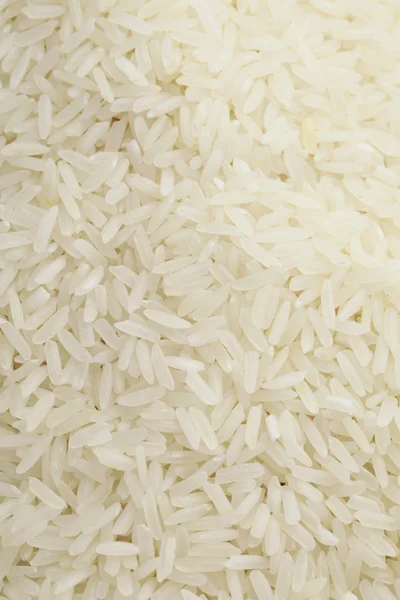 Background of the raw rice — Stock Photo, Image