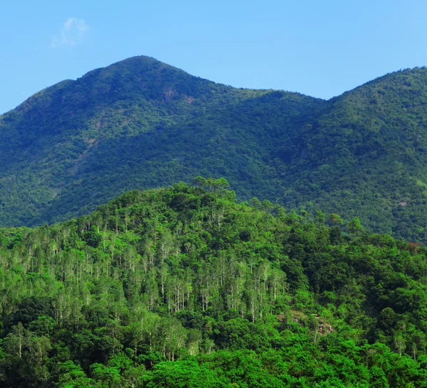 Zielona góra krajobraz z drzewa — Zdjęcie stockowe