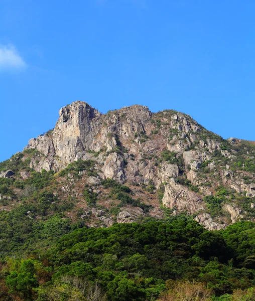 Lion Rock — Stock Photo, Image