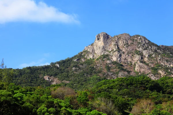 Lion Rock — Stock Photo, Image