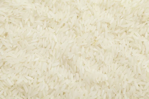 Fond de riz — Photo