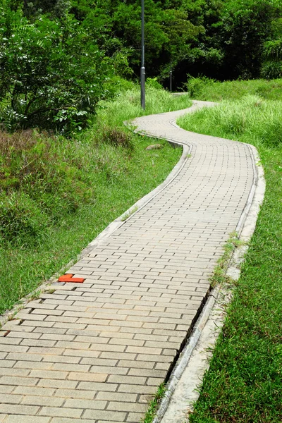 Camino del parque — Foto de Stock