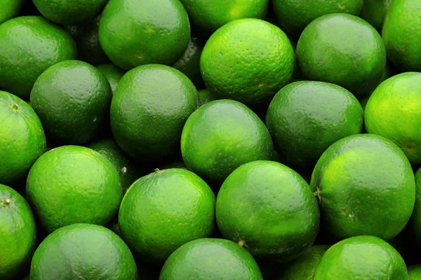 Lime citrus fruit — Stock Photo, Image