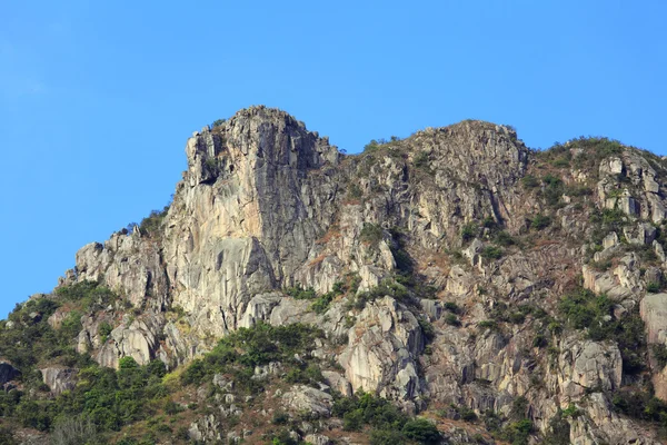 Lion rock — Stockfoto