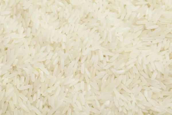 Reis ungekocht — Stockfoto