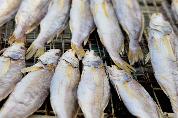 Sušené slané ryby — Stock fotografie