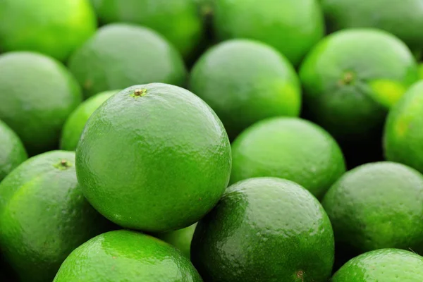 Green lime citrus fruit — Stock Photo, Image