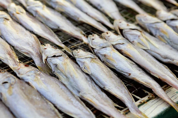 Salted fishes — Stock Photo, Image