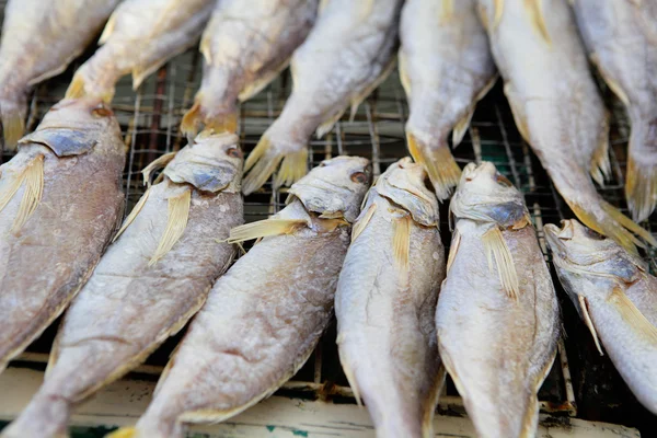Peixes salgados — Fotografia de Stock