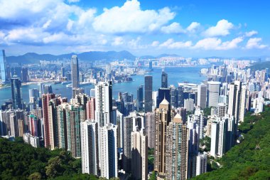 Hong kong dan tepe