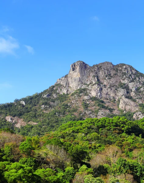 Lion rock — Zdjęcie stockowe