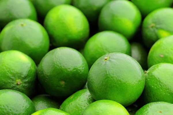 Citrusfrukter som lime — Stockfoto