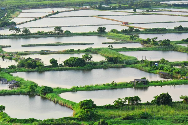 Lagoa do incubatório de peixes — Fotografia de Stock