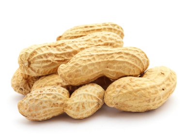 Fıstık
