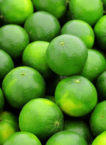 Lime citrus fruit — Stock Photo, Image