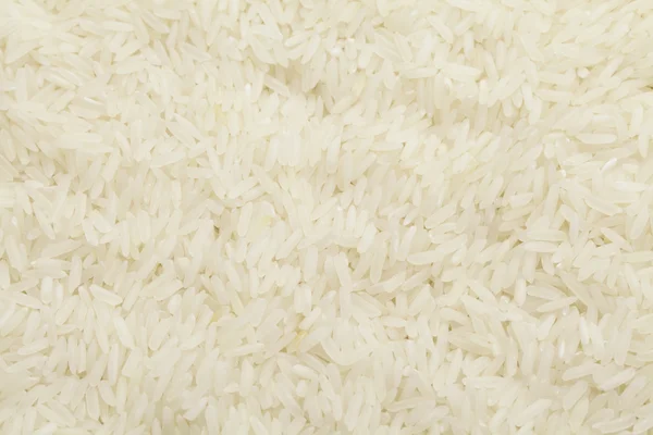 Reis ungekocht — Stockfoto