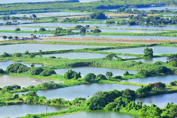 Lagoa do incubatório de peixes — Fotografia de Stock