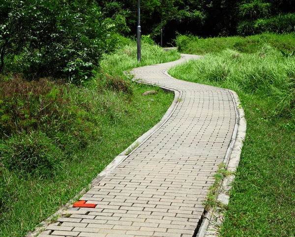 Path of the park — Stock Photo, Image