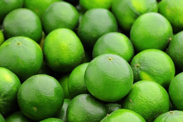 Lime citrus fruit — Stock Photo, Image