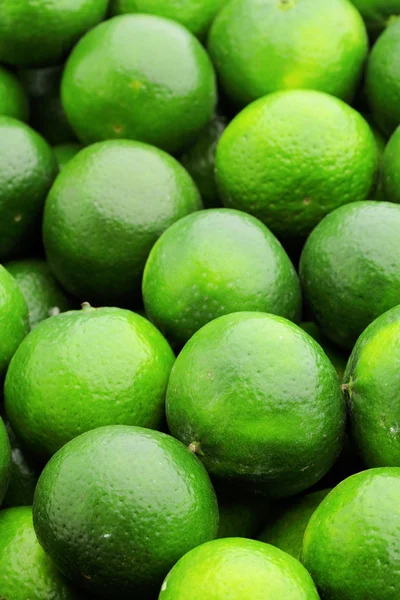 Lime citrus fruit — Stock Photo, Image