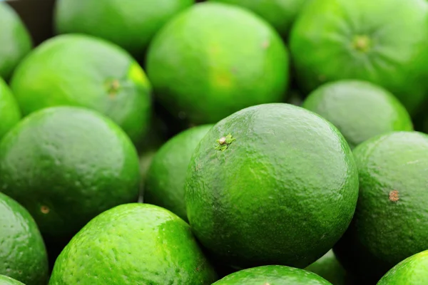 Lime citrus — Stock Photo, Image