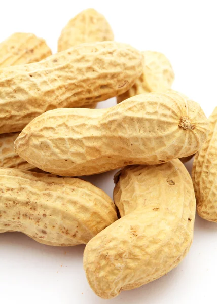 Peanut — Stock Photo, Image