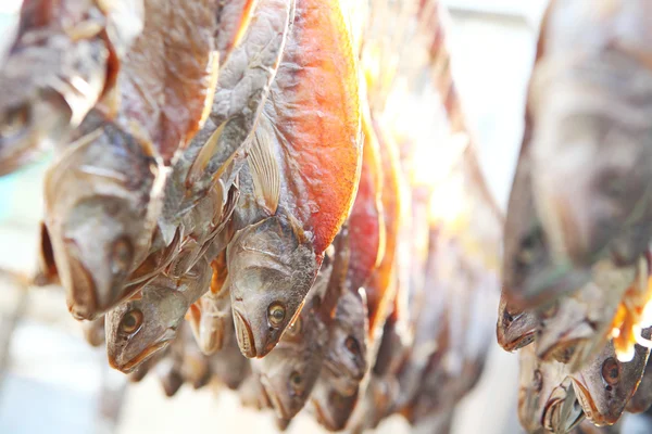 Dry salt fish — Stock Photo, Image