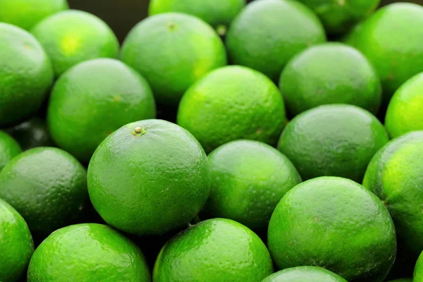 Lime citrus — Stock Photo, Image