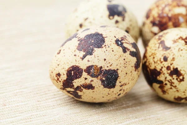 Quail eggs — Stock Photo, Image