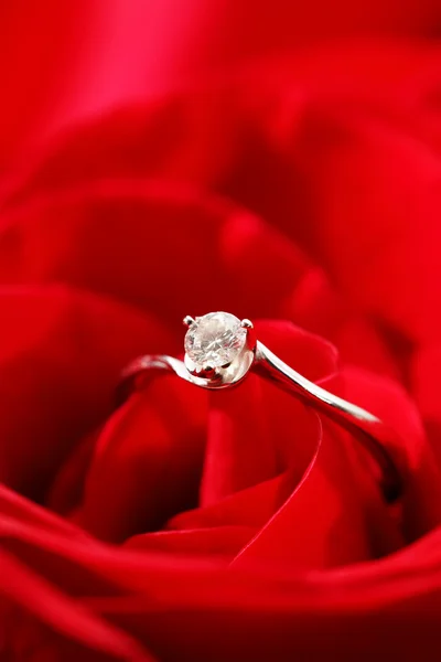 Rosa e anel — Fotografia de Stock