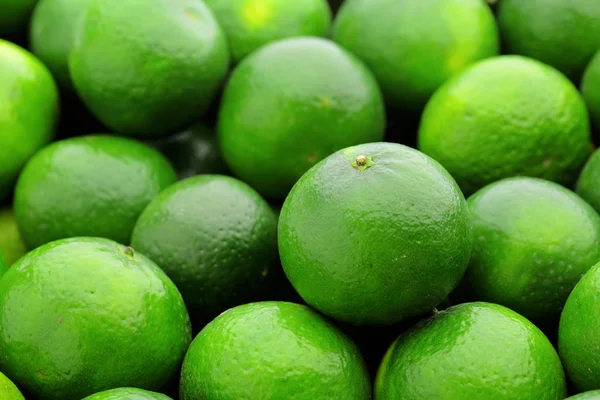 Lime citrus — Stock Photo, Image