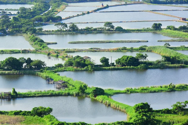 Lagoa do incubatório de peixes — Fotografia de Stock