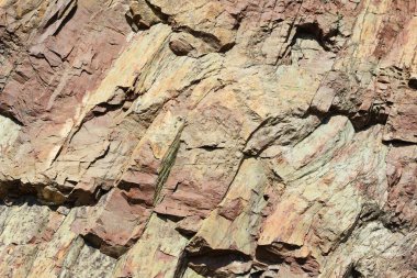 Hong kong coğrafi park, rock