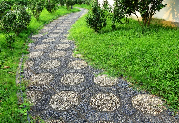 Sökväg i park — Stockfoto