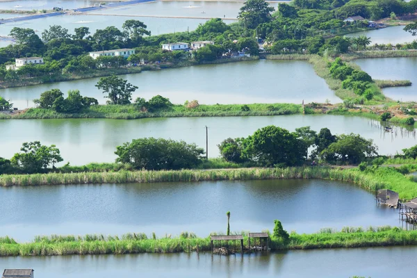 Fish hatchery pond — Stock Photo, Image